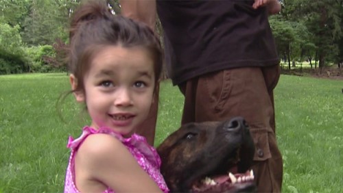 Dog Saves Child from Bear