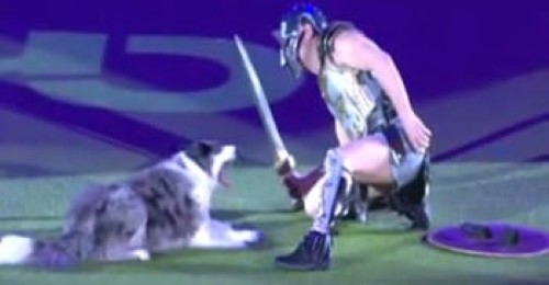 Dancing with Dogs… Shocking, yet funny!
