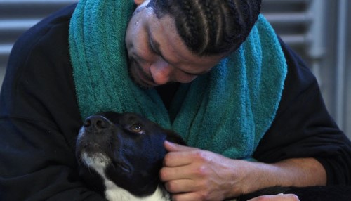When Prisoners Take Care of Abandoned Shelter Dogs