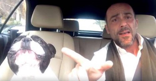 Dog Sings along in Carpool Karaoke