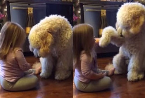 Little Girl Training the Family Dog
