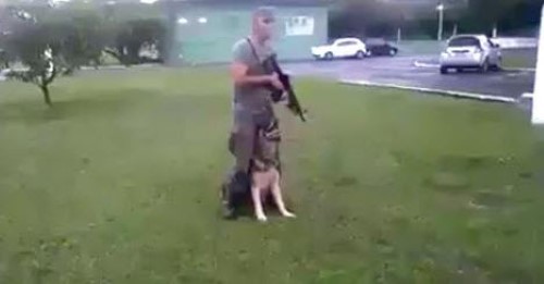 The Amazing Bond between a Soldier and His Dog
