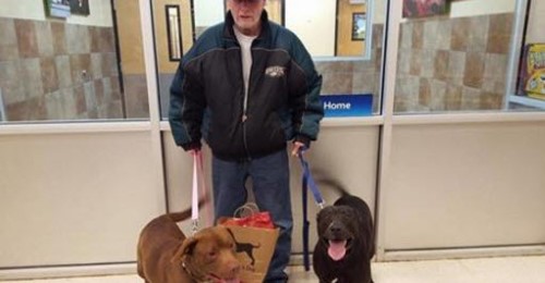 Veteran Loses Dogs after Hospital Stay
