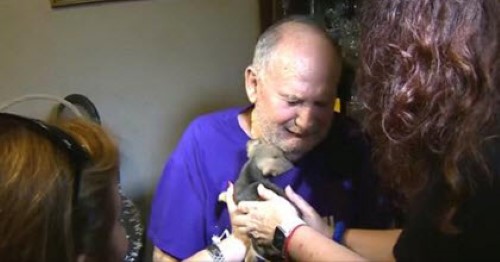 Grieving Man Gets New Puppy