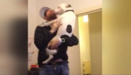 Dog Freaks out When He Sees His Owner Again
