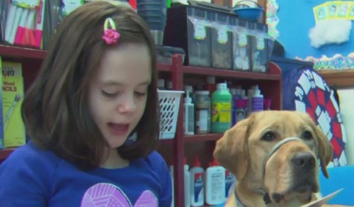 Yellow Lab Helps Students with Special Needs