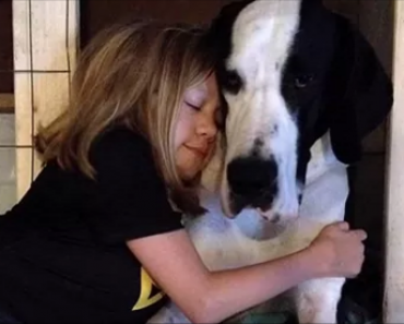 George The Amazing Service Dog Gets Spoiled Rotten On His Best Day Ever