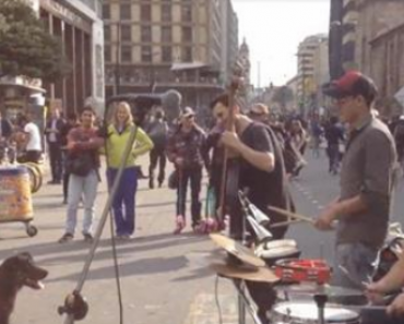 Dog Steals The Show At Street Musicians Performance