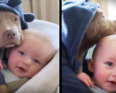 This Cute Cuddle Session Will Melt Your Heart