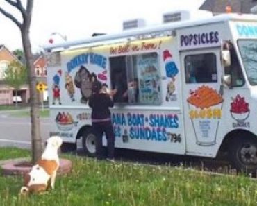 Pitbull Waits Patiently for His Turned At Ice Cream