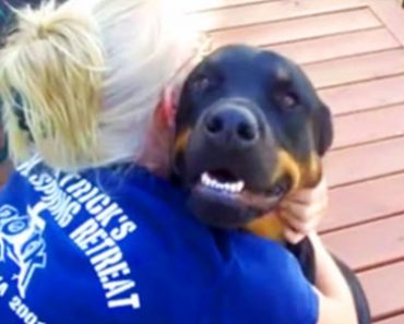 This Rottweiler Purrs like a Cat