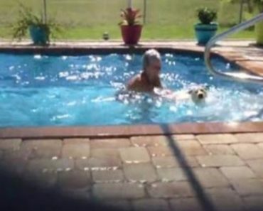 This Westie Has the Perfect Reaction When He Leaves the Pool