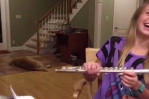 This Girl Tries To Practice Playing The Flute But The Dog Steals The Show