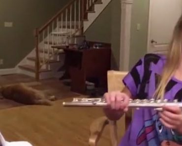 This Girl Tries To Practice Playing The Flute But The Dog Steals The Show